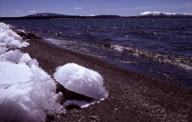Ice along the shore of Yellowstone Lake Picture
