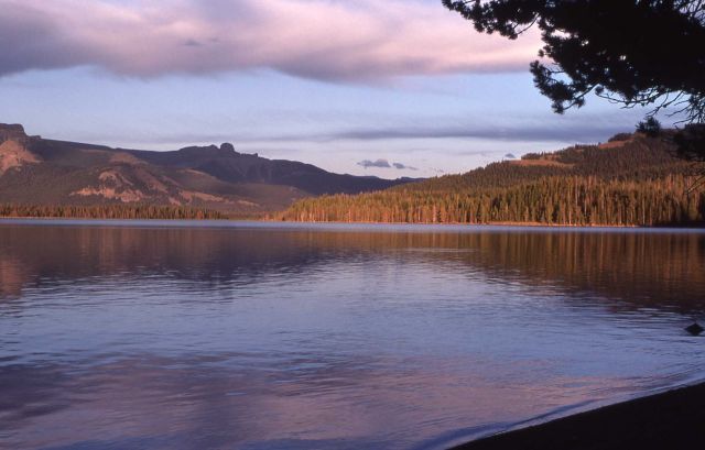Southeast arm of Yellowstone Lake Picture