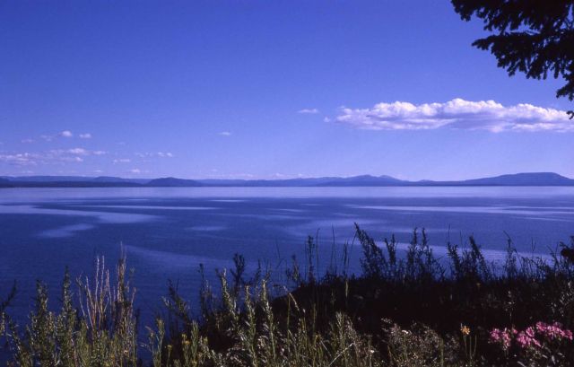 Yellowstone Lake as seen from the west side of Mary Bay Picture