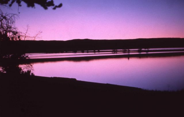 Yellowstone Lake Picture