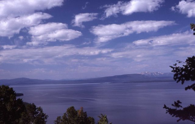 Yellowstone Lake Picture