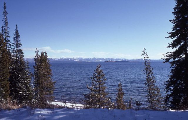 Yellowstone Lake Picture