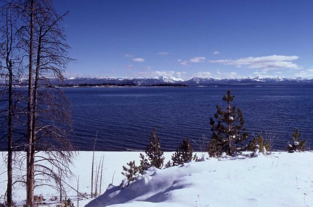 Yellowstone Lake Picture