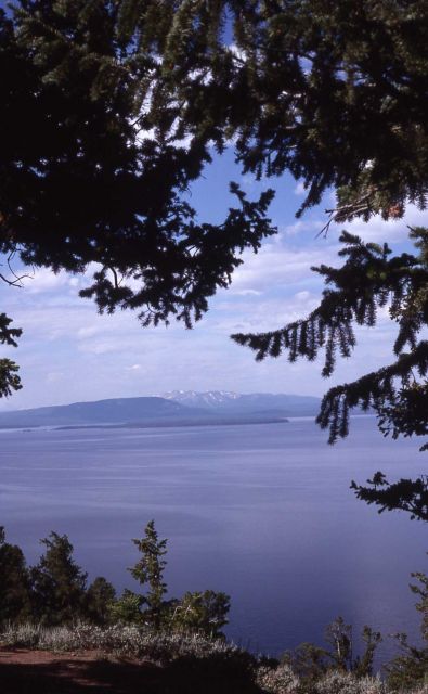 Yellowstone Lake Picture