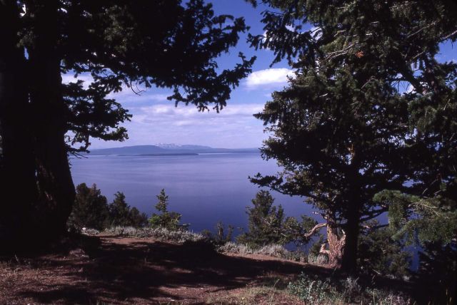 Yellowstone Lake Picture
