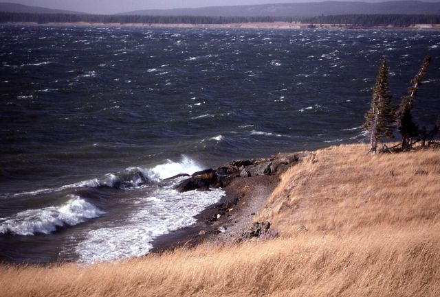 Waves on Yellowstone Lake Picture