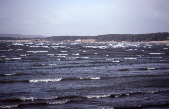 Waves on Yellowstone Lake Picture