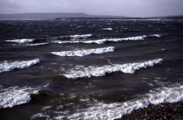 Waves on Yellowstone Lake Picture