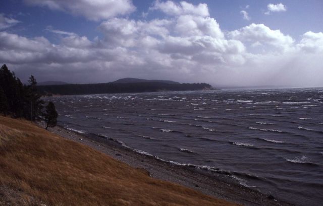 Waves on Yellowstone Lake Picture
