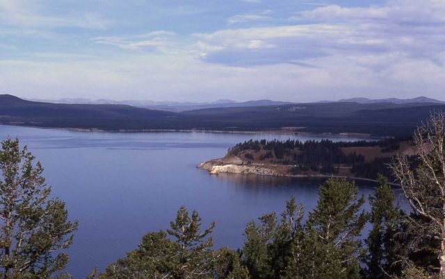 Steamboat Point & Sedge Bay on Yellowstone Lake as seen from Lake Butte overlook Picture