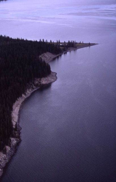 Aerial of Yellowstone Lake shore at West Thumb Picture