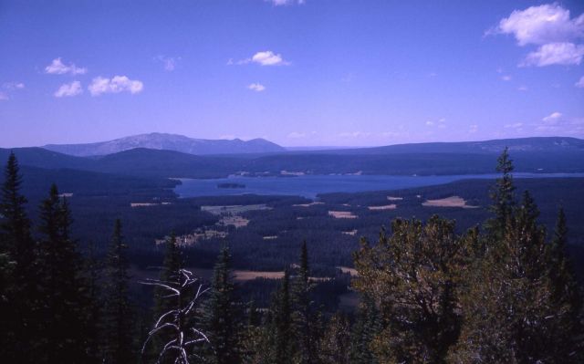 Yellowstone Lake as seen from Two Ocean Plateau Picture