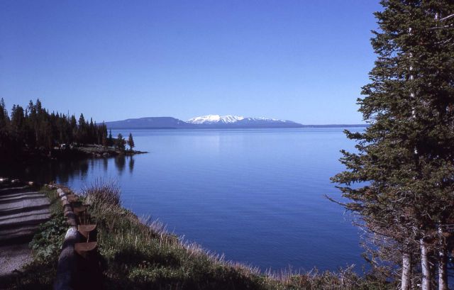 Yellowstone Lake Picture