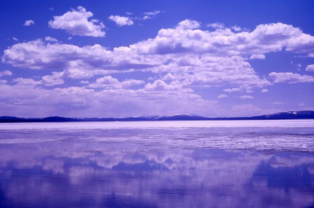 Yellowstone Lake Picture