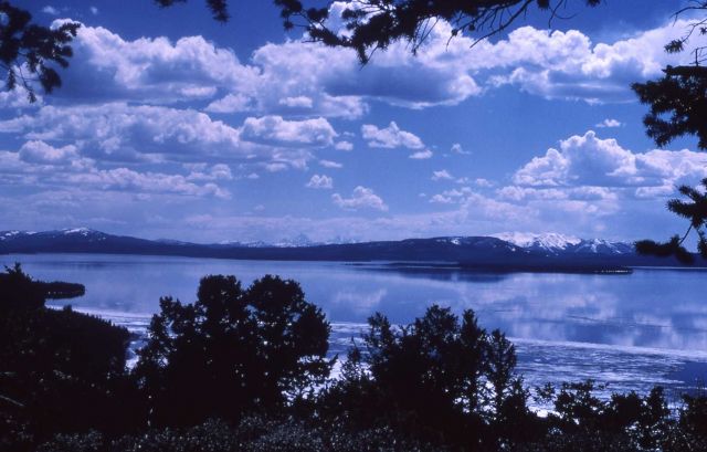 Yellowstone Lake Picture