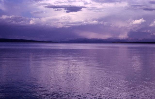 Yellowstone Lake Picture