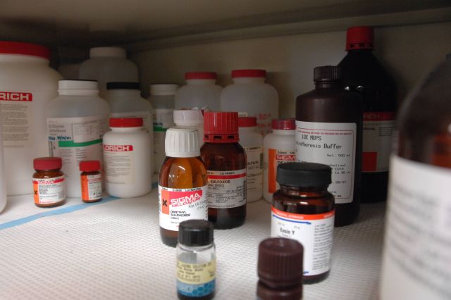 Pill bottles Picture