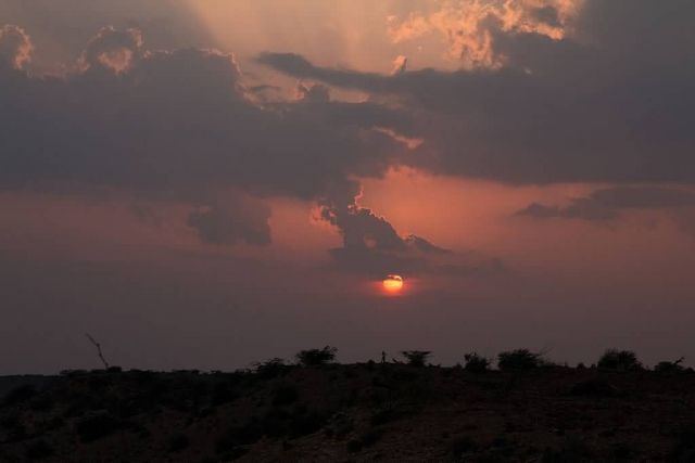 Sand Dunes, Jaisalmer Picture