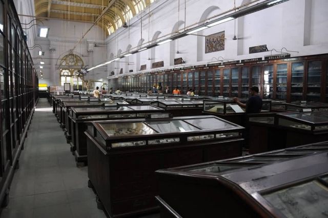 Indian Museum, Kolkata Picture