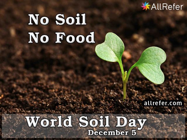 World Soil Day - 5 December Picture