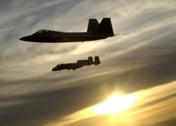 F-22A Raptor - Heritage flight Image