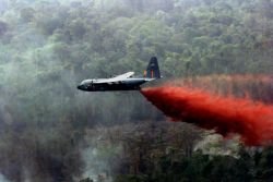 C-130 Hercules - Fighting wildfires Image