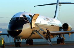 C-9 Nightingale - Bye bye birdie Image