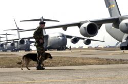 C-17 Globemaster III - Globemaster line Image