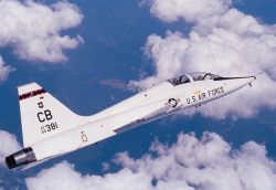 T-38 Talon - Talon Photo