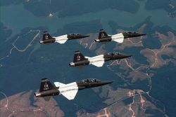 T-38 Talons - Quad Talons Photo