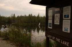 WB-29 - The Lady Photo