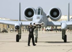 A-10 Thunderbolt II - Keep your eyes on me Image