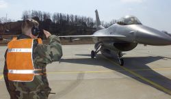 F-16 Fighting Falcon - Inspected salute Image