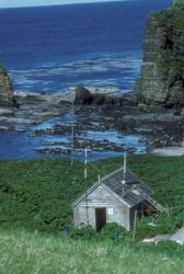 Agattu Island, refuge cabin, Aleutians 1988 Image