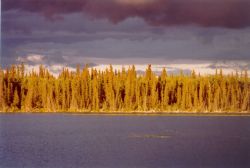 Sunset across Scoter Camp Lake Image