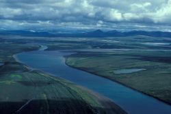 Noatak River Flats in Summer Image