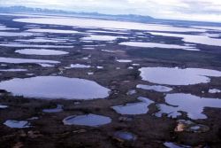 Yukon Delta Image