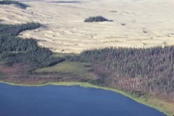 Nogahabara Sand Dunes Image