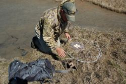 Avian Influenza Sampling Project 2006 Image