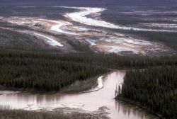 Lower Sheenjek River Photo