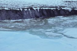 Lower Sheenjek River Photo