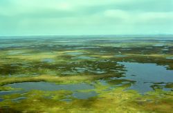 Yukon Delta Lakes Image