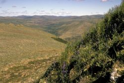 Upper Andreafsky River Photo