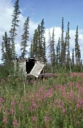 Canyon Village Cache on the Porcupine River Image