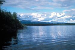 Nowitna River in Summer Image