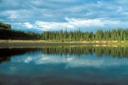 Nowitna River in Summer Image