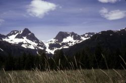 Yalik Glacier Image