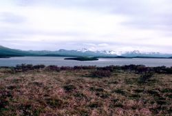 Lake Becharof in Summer Image