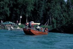 Fishing on the Kenai River Image