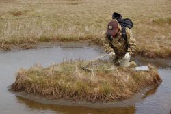 Avian Influenza Sampling Project 2006 Image